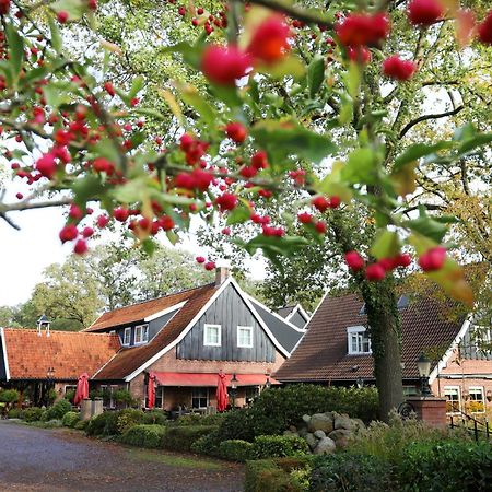 Het Ros Van Twente De Lutte Exterior foto