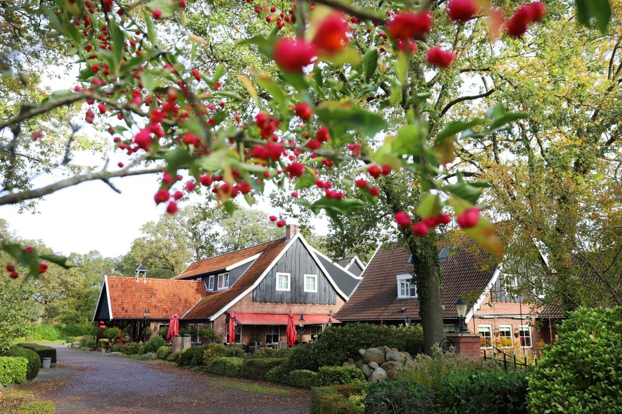 Het Ros Van Twente De Lutte Exterior foto
