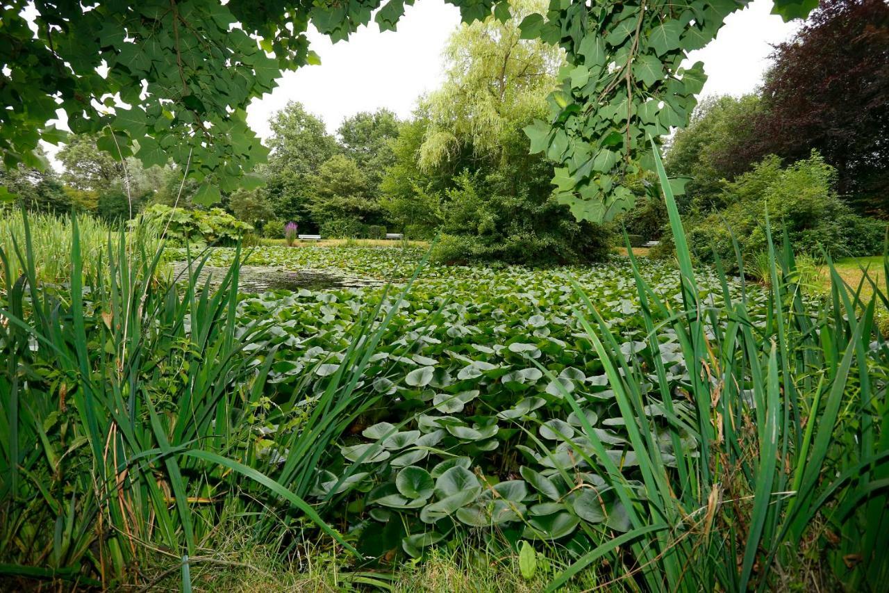 Het Ros Van Twente De Lutte Exterior foto